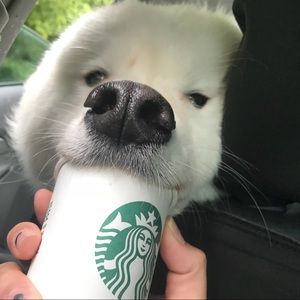 Meet your Posher, Carli